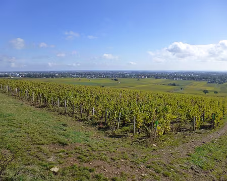 P1020677 Au loin, Beaune.