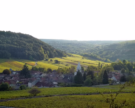 P1020689 Auxey-Duresses