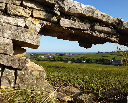 P1020690z1969 Au loin, Meursault