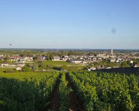 P1020692 Retour à Meursault