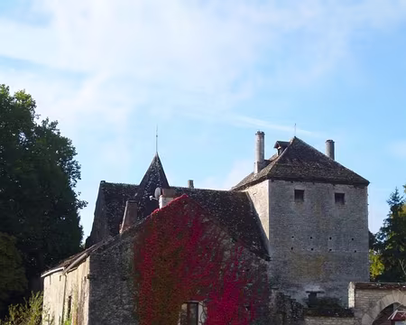 P1020704 Château de Gamay...