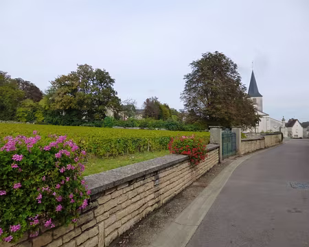 P1020714 Chassagne-Montrachet