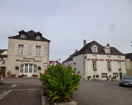 P1020715 Chassagne-Montrachet