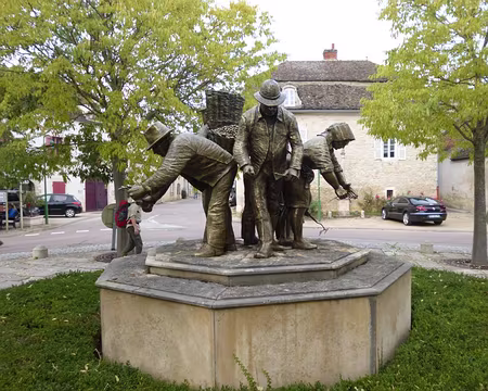 P1020717 Les travaux de la vigne. Merci à Claude pour ces deux jours dans le vignoble de la Côte de Beaune.