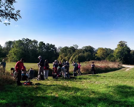 P_20161016_114740-01