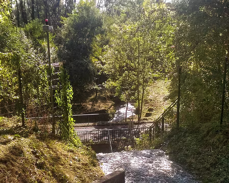 P_20161016_123531-01