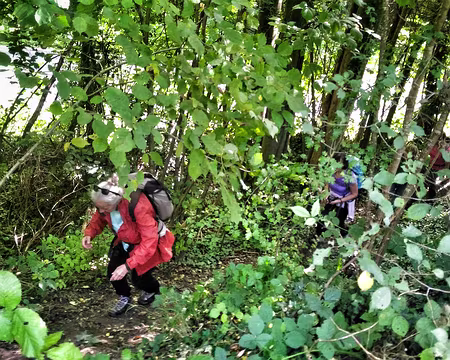 P_20161016_133506-01