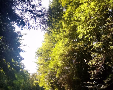 P_20161016_135001-01