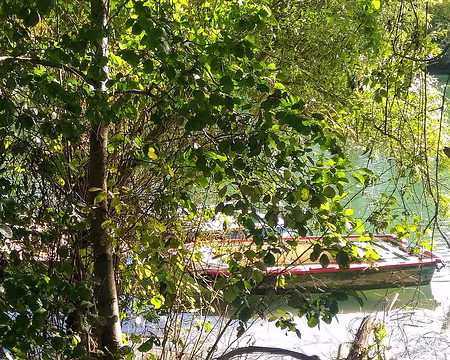 P_20161016_142020-01