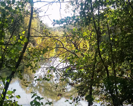 P_20161016_143254-01