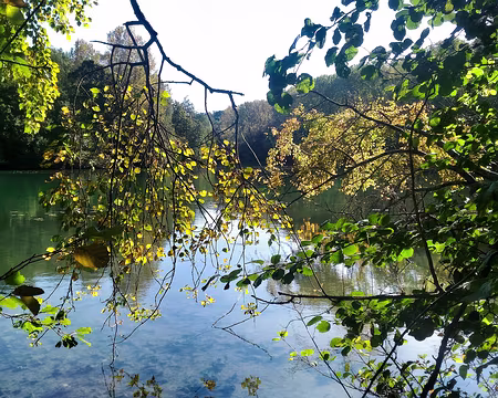 P_20161016_143417-01