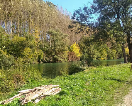 P_20161016_150412-01