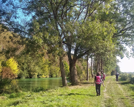 P_20161016_150422-01