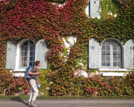 P_20161016_151137-01