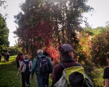 P_20161016_153901-01