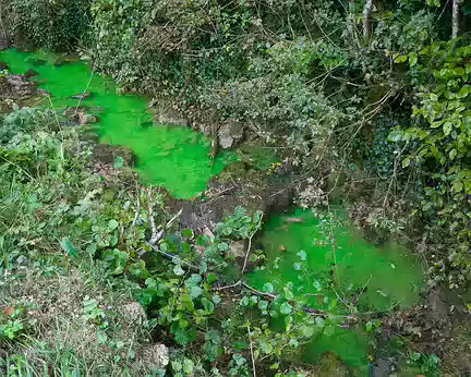 2016_10_01_18-02-10 La couleur vert fluo du ruisseau de Malaval près de la source de la Tuvière est due à une opération de traçage des eaux !