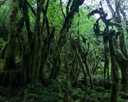 2016_10_01_18-13-07 Mousses