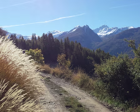 20161022_121125z1977