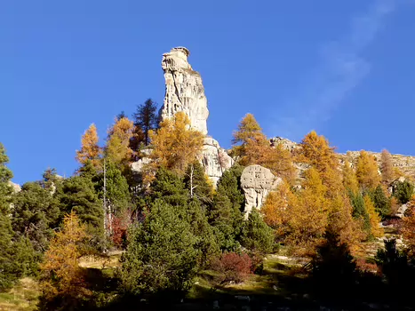 Bernadette Bernadette P, détail sortie