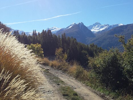 Valérie Valérie B, détail sortie