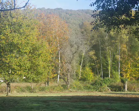 IMGP0035