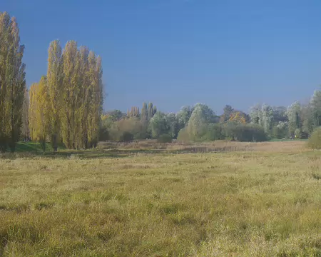 IMGP0061