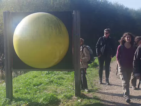 Olivier Olivier M, détail sortie