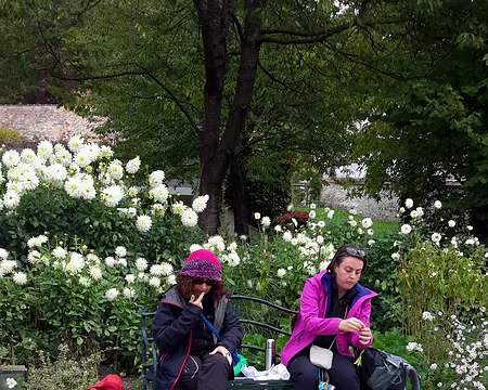 006 Dans les jardins du musee Giverny 2016