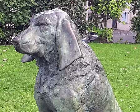 023 Chien de Mantes 2016