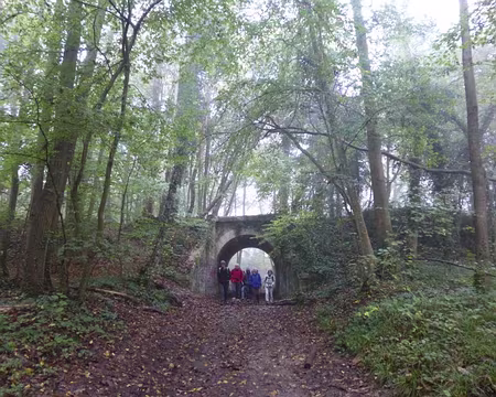 P1020720 Forêt de Marly