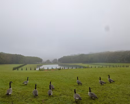 P1020725 Le grand bassin