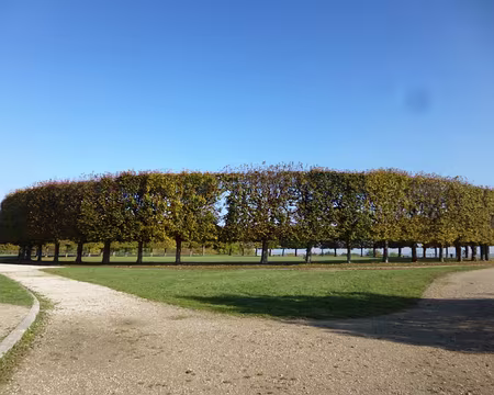 P1020743 Tilleuls en bout de la Grande Terrasse.