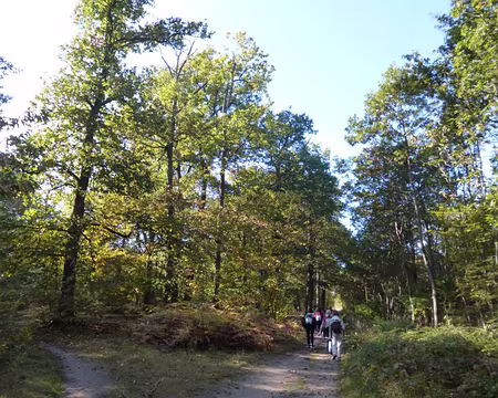 P1020745 Forêt de Saint-Germain