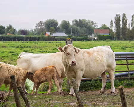 01-IMG_5451 Samedi, Rang de Fliers - Merlimont-Plage