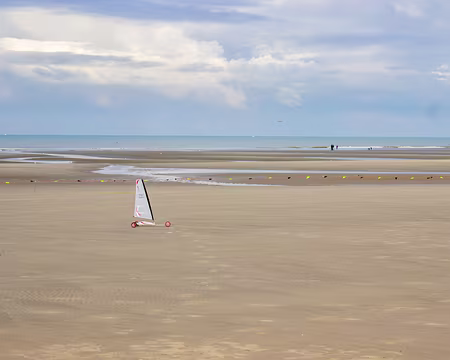 38-IMG_5508 Séance de char à voile annulée... à peine assez de vent pour les modèles réduits !