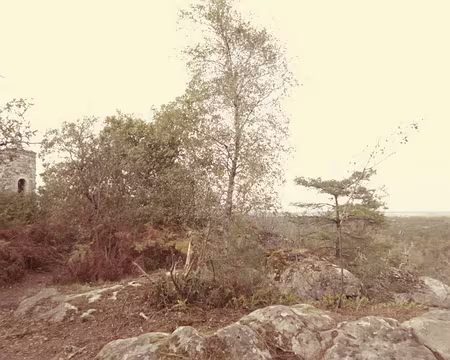 P1020586 Tour de la Vierge