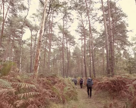 P1020592 couleurs automnales