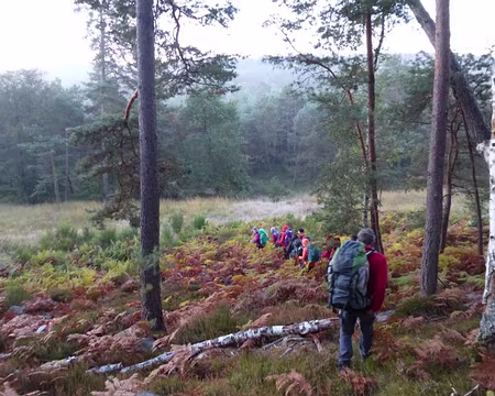 P1020594 Départ au petit matin, après avoir entendu le brame du cerf la nuit.