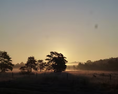 P1020597 Brumes matinales