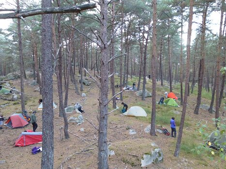 Dominique Dominique F, détail sortie