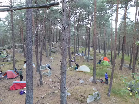 Dominique Dominique F, détail sortie