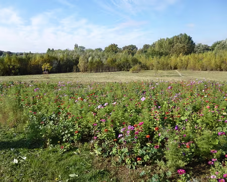 P1020752 La plaine alluviale des Closeaux, partie intégrante du Parc Naturel Urbain.