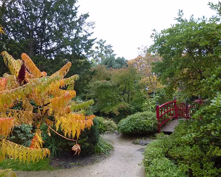 P1020783 Merci à Alfred pour cette découverte de Rueil avec l'aimable participation de Jocelyne la rueilloise.