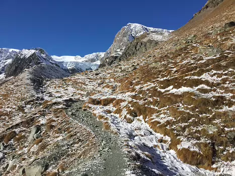 Olivier Olivier R, détail sortie