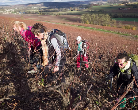 2016_11_19_14-57-56 Raccourci à travers une parcelle