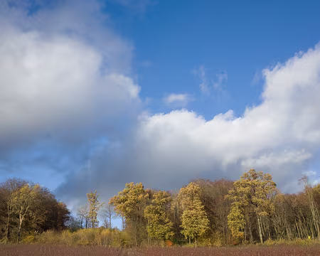 2016_11_19_15-12-01 Lisière