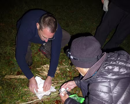 038 une opération sérieuse : le feu