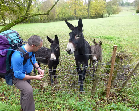 182 Chacun aura droit à une noix