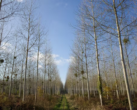 2016_11_11_14-51-06z2000