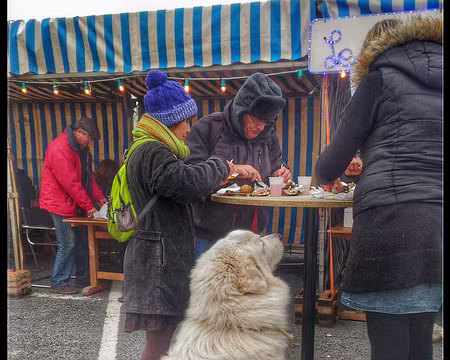 11 Fécamp Il y en aura pour tout le monde.